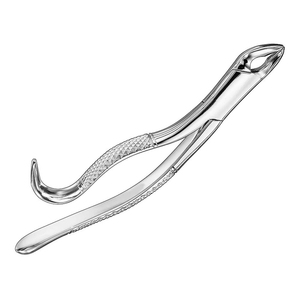 Pinzas de Extracción Manuales de Marca Personalizada, Patrón Americano, Certificación CE, Pinzas Quirúrgicas Dentales con Empuñadura Moleteada - Product Image 2