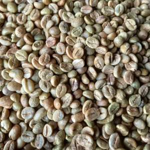 Granos de Café Verde ROBUSTA de Alta Calidad, Precio Competitivo, Proceso de Pulido Húmedo, Grado 1 de Vietnam, Venta al Por Mayor - Product Image 1