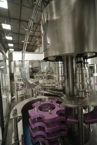 Máquina Automática Eléctrica de Enjuague, Llenado y Tapado para Botellas de Plástico de Agua Pura de 200 ml, 14400 Botellas/Hora - Product Image 3
