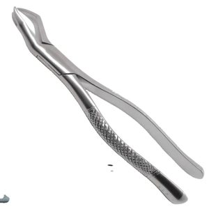 Pinzas de Extracción Dental de Acero Inoxidable, Alicates Profesionales para Extracción de Dientes, Instrumento Dental para Cirugía Oral - Product Image 3