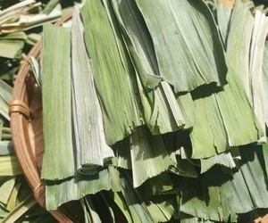 Feuilles de Pandanus amaryllifolius séchées pour tisane, ingrédient pour boisson - Product Image 4