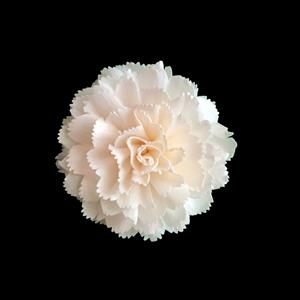 ดอกไม้โซล่าวู้ด VADEE SOLA WOOD FLOWER ทำมือ ดอกคาร์เนชั่นจากไม้โซล่าวู้ด ขนาด 8.5 ซม.  ทำจากเส้นใยพืชเซสบานียา จากประเทศไทย - Product Image 2