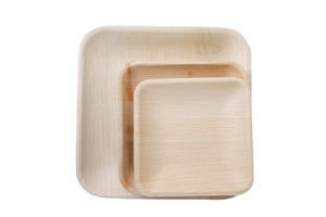 Meilleures ventes Fournisseur direct Jetable Partie de service Biodégradable Compostable Palm Areca Plaque Gravé Technique Pack Plats - Product Image 6