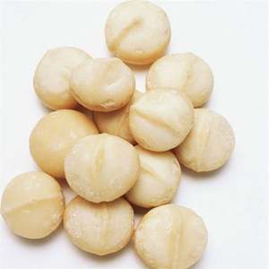 เม็ดมะคาเดเมียออร์แกนิคดิบอบแห้ง เกรด A1 อายุการเก็บรักษา 2 ปี - Product Image 1