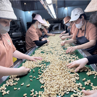 Hete Aanbieding Cashewnoten WW180, WW240, WW320, LP, WS Groothandel Rauwe Cashewnoten Cashewnoten Fabrieksprijs