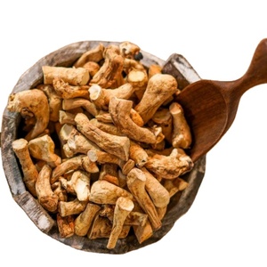 Tige de champignon pour l'exportation Tige de champignon du fournisseur du Vietnam Meilleure vente de tige de champignon - Product Image 1