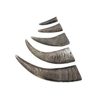 ธรรมชาติ