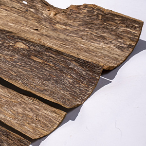 Copeaux d'agarwood pour la transformation industrielle - Product Image 2