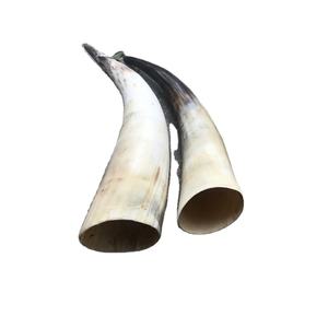 วัวแตรธรรมชาติฮอร์นสีร้อนขายที่มีคุณภาพที่ดีที่สุดผลิตภัณฑ์ตกแต่งฮอร์นขายส่งสินค้าที่มีการขาย - Product Image 1