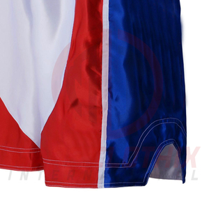 Shorts Deportivos Personalizados de Muay Thai por Sublimación, Shorts de MMA Hechos a Medida con su Logotipo a Precio Económico - Product Image 2