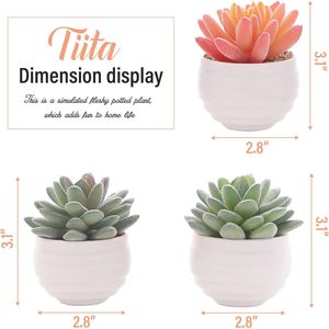 Mini Macetas con Suculentas Artificiales, Plantas Falsas en Cerámica, Arreglo Decorativo para Hogar u Oficina, Regalo para Mujeres - Product Image 3