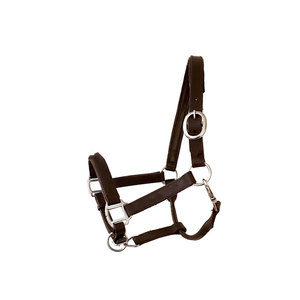 Brown Leather Horse Halter With Silver Hardware For <b>Equestrian</b> Use - Product Image 1