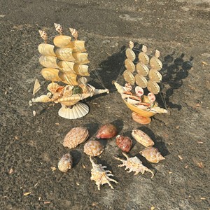 Artisanat en coquillages, matériaux variés pour créations décoratives et articles cadeaux sur le thème de la plage, origine Vietnam. - Product Image 4