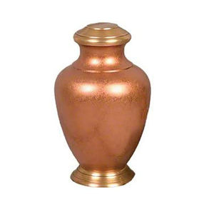 Brown Brass Pet Urn Cremation Keepsake Urn Paw Print Memorial <b>Casket</b> <b>for</b> Adult Pet <b>Ashes</b> Home Remembrance - Product Image 3