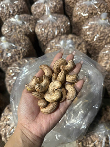เม็ดมะม่วงหิมพานต์อบพรีเมียมจากเวียดนาม - ขนมขบเคี้ยวมีคุณค่าทางโภชนาการ - เนื้อกรุบกรอบ - ขายส่งจำนวนมาก - ผู้ส่งออกที่เชื่อถือได้ - Product Image 6