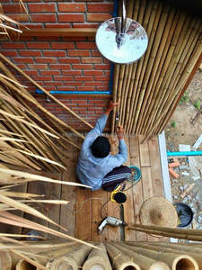 เสาไม้ไผ่ Farmex เวียดนามขายส่ง | โรงงานส่งออกไม้ไผ่ธรรมชาติ - Product Image 6