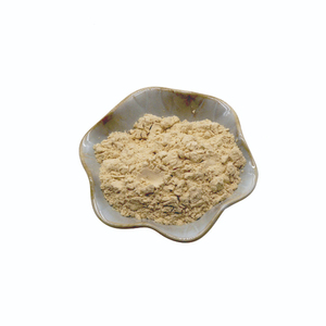 Oferta Especial: Gluten de Trigo Vital Premium al por Mayor, Grado Alimenticio, Calidad Superior, Listo para Enviar - Product Image 6