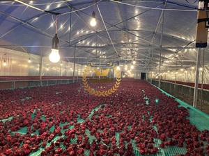 ดอกชบาอบแห้งดอกชบาจากธรรมชาติดอกชบาสุดยอดดอกชบาชาเพื่อสุขภาพปราศจากกลูเตน - Product Image 6