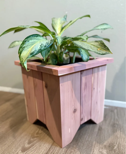 Maceta de Madera Personalizada para Suculentas, Forma Cuadrada, Decoración Moderna, Plantas Verdes, Decoración del Hogar, Acabado Natural Sin Recubrimiento - Product Image 1