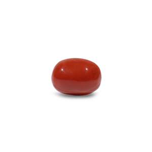 Natural Loose Gemstone-10.65 Carat Certified Red Coral High Quality Wholesale - Product Image 1