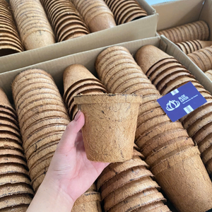 [BEST SELLER] |   Panier de plantation carré biodégradable en fibre de coco pour l'agriculture, les pépinières et l'exportation de semis du Vietnam - Product Image 5