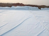 Tissu géotextile non tissé en PET anti-vieillissement, haute perméabilité pour la stabilisation des sols routiers et les projets de drainage