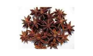 Anís estrellado (Illicium Verum) - Fuertemente aromático con un sabor dulce similar al regaliz debido al anetol - Product Image 6