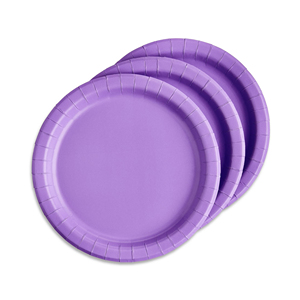 Platos Desechables Ecológicos, Fabricación en Pakistán, Venta al Por Mayor OEM/ODM, Ligeros, Personalizables con Marca - Product Image 4