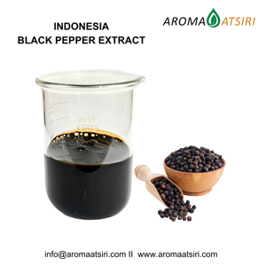Oleorésine de poivre noir naturel de qualité supérieure – Extrait aromatique épicé de haute qualité d'Indonésie - Product Image 1
