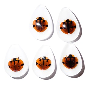 Cabochon Six Star Ladybird Beetle Pear Shape cut <b>top</b> 25x17 mm White Flat Bottom for Crafts and Jewelry Making - Product Image 1