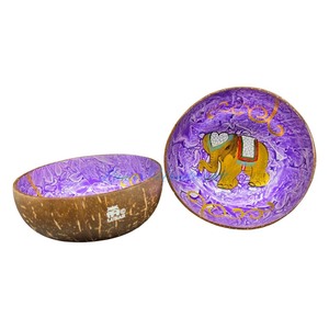 Hot New Brand Premium Quality Coconut Bowl Lacquerware hecho a mano en estilo único Reutilizable Coconut Bowl - Product Image 4