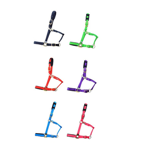 Harnais de cheval en nylon de qualité supérieure avec boucle, disponible en plusieurs couleurs, pour utilisation en écurie - Product Image 1