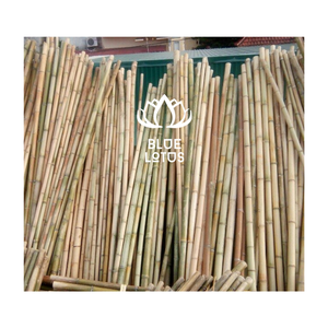 HOT SELLING High Quality Sustainable <b>Bamboo</b> Poles Premium Grade Durable Eco Friendly Agriculture Plant Support Stakes Bulk - Product Image 1