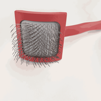 EVERSHARP Brosse démêlante ergonomique en fer rouge simple avec design écologique pour toilettage professionnel des chats et des chiens