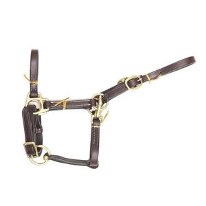 Harnais pour cheval en cuir écologique de qualité supérieure avec boucle en laiton, réglable, durable, taille personnalisable pour usage équestre - Product Image 1