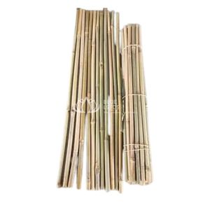 Canes et piquets en bambou Tonkin brut de haute qualité, bois naturel écologique pour le jardinage multi-usages - Ferme Blue Lotus - Product Image 1