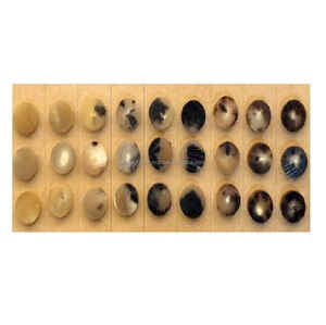 Bouton corne vente en gros, haute qualité, 4 trous, boutons en os de corne naturelle, véritable bouton corne de buffle - Product Image 2