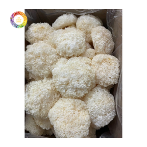 เห็ดหูหนูขาวแห้ง เกรดพรีเมียม อาหารธรรมชาติ เห็ดเวียดนาม สำหรับทำซุป/ของหวาน ขายส่ง ปริมาณมาก ส่งออก - Product Image 1