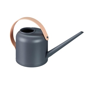 Regadera de Metal con Recubrimiento de Polvo Plateado, Diseño Nuevo, Duradera, Capacidad de 1.5L, para Hogar y Jardín, Macetas - Product Image 5