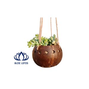 HOT SELLING Eco-Friendly Coconut Shell <b>Pot</b> | High Quality Handmade Planter for Succulents & <b>Herbs</b> - Product Image 1