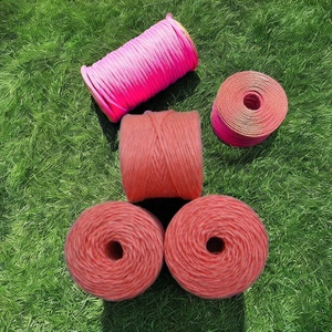 PE Pp Twine Multipurpose Synthetic Cord For Farming Gardening Packaging Cargo Securing Fishing Applications Outdoor Survival - Product Image 2