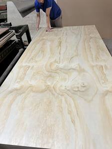 Contrachapado Comercial 4x8 de Fábrica en Vietnam, 12mm 15mm 18mm, Pino Bintangor y Abedul para Muebles, Gabinetes y Decoración de Interiores - Product Image 5