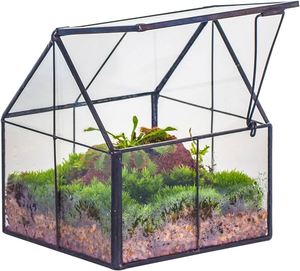 Terrario Geométrico OEM Pequeño de Vidrio para Plantas, Florero de Vidrio, Caja de Metal, Terrario de Cristal - Product Image 2