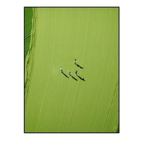 <span class=keywords><strong>Pintura</strong></span> al Óleo Moderna Hecha a Mano, Arte <span class=keywords><strong>de</strong></span> Pared en Lienzo Texturizado 100% Pintado a Mano, Paisaje Marino Verde con Espesor, Póster Abstracto 3D, 2026 - Product Image 4