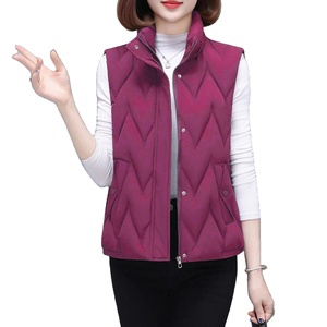 Vêtements d'extérieur hiver gilet nouveau gilet bouffant veste vêtements d'extérieur utiliser meilleure vente femmes sans manches en gros toile vers le bas coton - Product Image 3