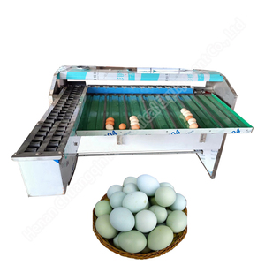 Commercial <b>Egg</b> Grading Machine Chicken <b>Egg</b> Weight Grading and Sorting Machine <b>Egg</b> Sorter Machine Automatic - Product Image 5