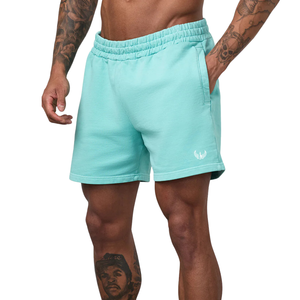 <b>Mens</b> Steel Blue Fleece <b>Shorts</b> Elastic Waist Running Fitness Training Casual <b>Lounge</b> Activewear Sports <b>Shorts</b> - Product Image 1