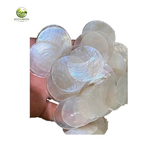Coquilles de Capiz Naturelles Rondes Écologiques avec Demi-Trous, Paire en Gros du Vietnam pour l'Artisanat - Product Image 6