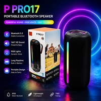 Système audio sans fil P PRO 17 20W avec basses profondes, son stéréo HiFi, caisson de basses, double radiateurs passifs, éclairage ambiant RGB, boîte audio portable