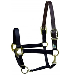 Cabestro de Nailon Personalizado con Cabezada de Cuero Estilo Silla Inglesa de Proveedor Indio Disponible en Varios Colores y Tamaños - Product Image 1